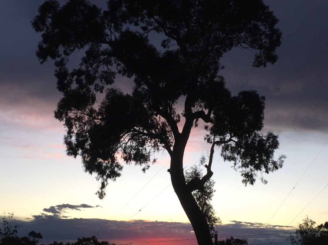 Banyule Flats Reserve景点图片