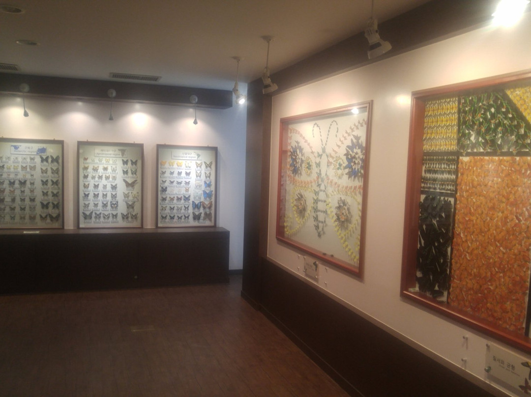 Paju Naby Nara Museum-坡州市必去景点