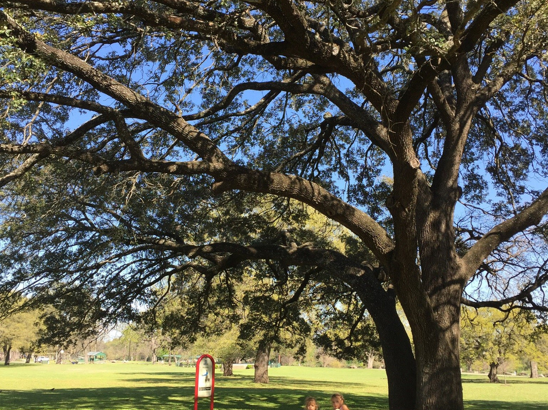 Creative Playscape-Georgetown必去景点