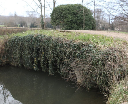 Pont Sur L'orbize À Dracy-le-fort