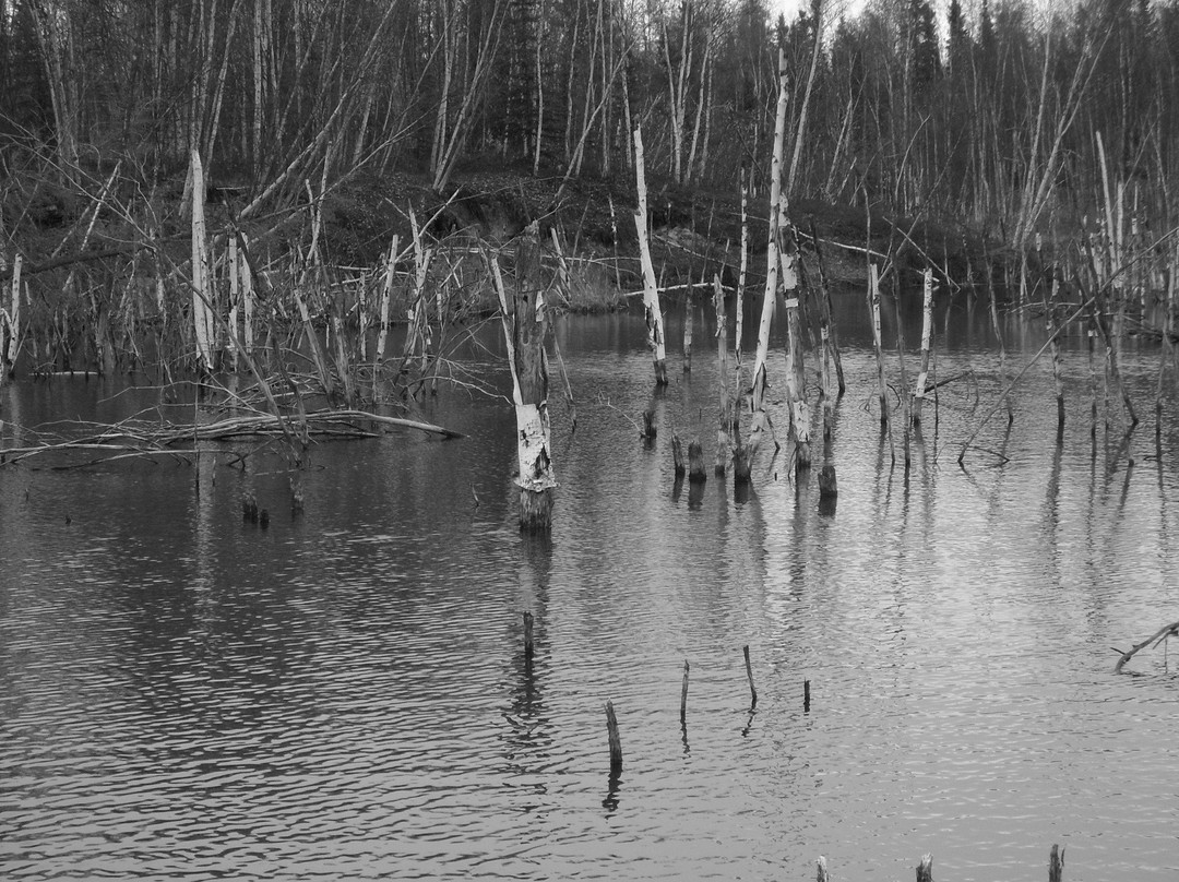 Yellowknife River Territorial Park Day Use Area-黄刀镇必去景点