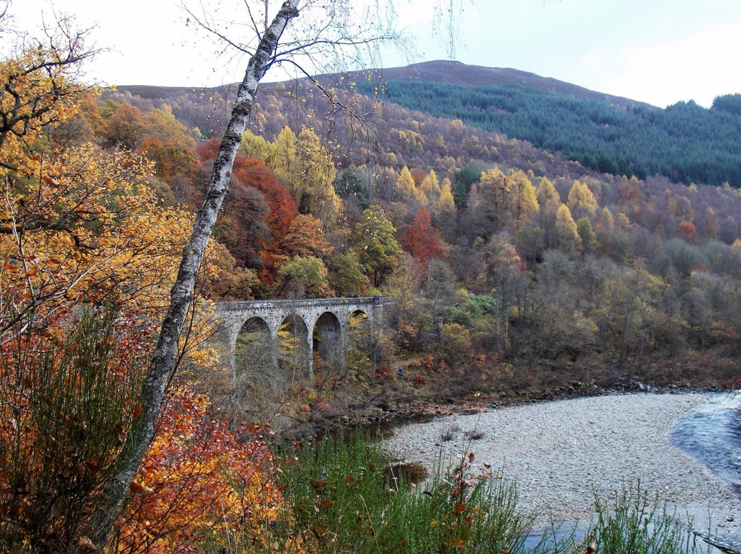 Killiecrankie Viaduct景点图片