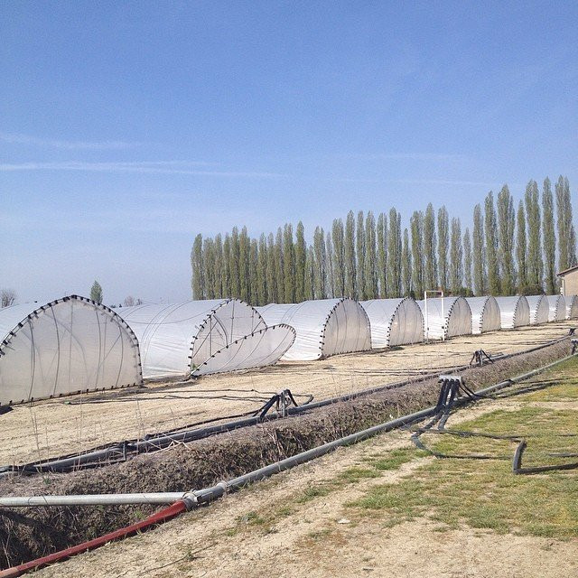 Azienda Agricola Malaguti景点图片
