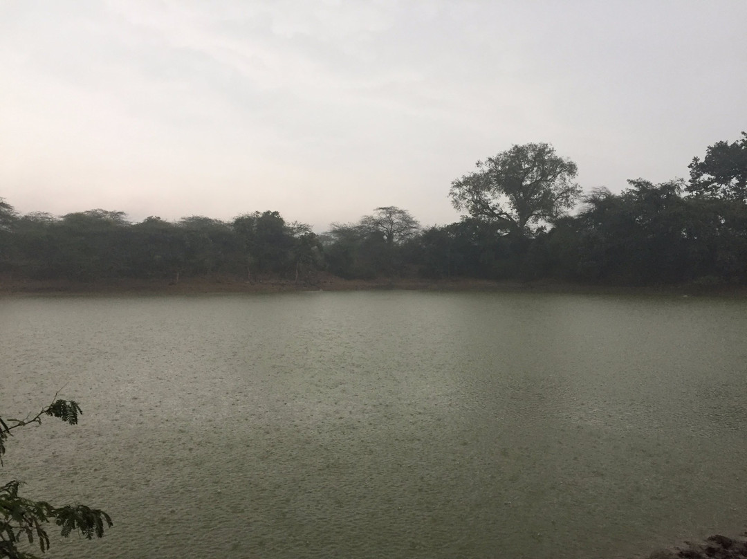 The Lost Lake景点图片