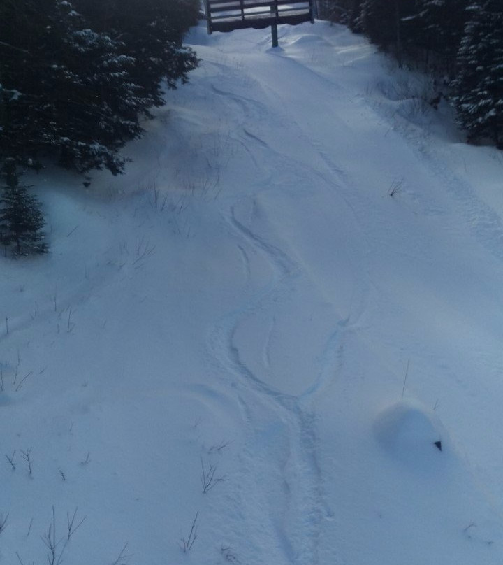 Big Squaw Mountain景点图片