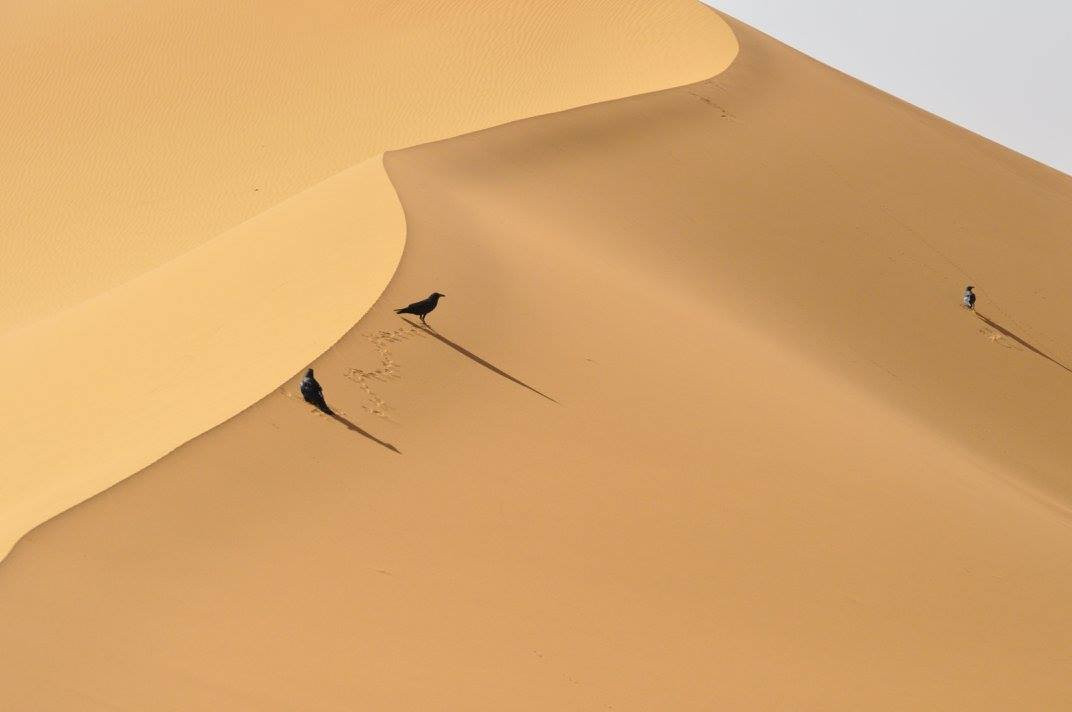 Siroco Tours-卡萨布兰卡必去景点