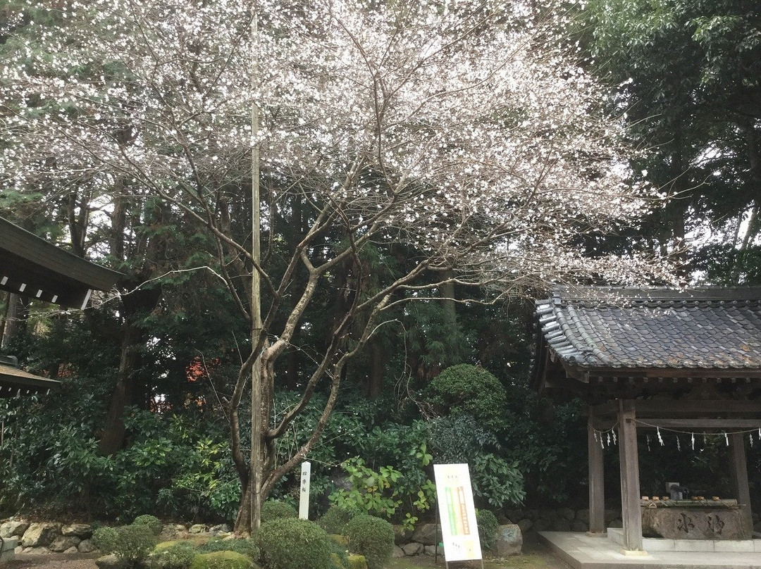 Nagara Tenjin Shrine-岐阜市必去景点