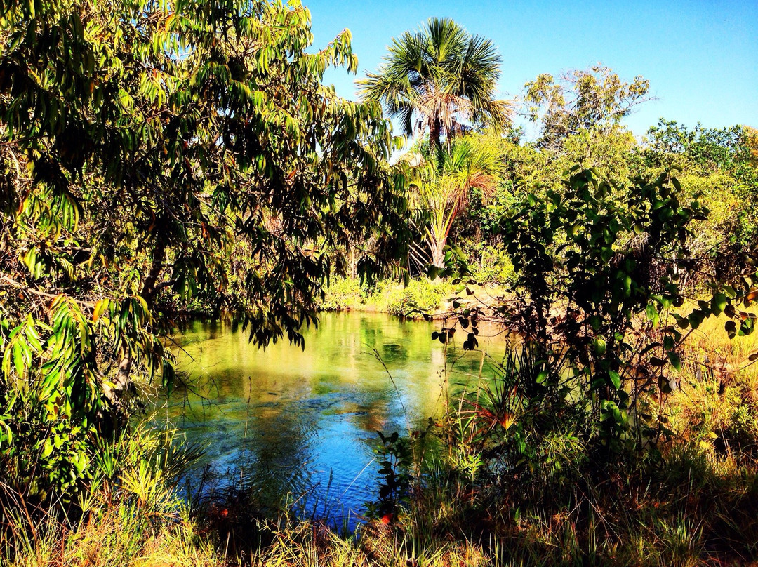 Alto Parnaiba旅游攻略图片