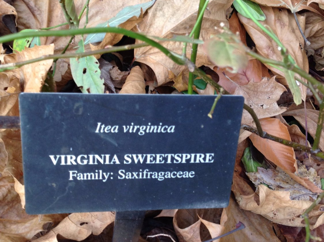 Flat Rock Brook Nature Center-恩格尔伍德必去景点