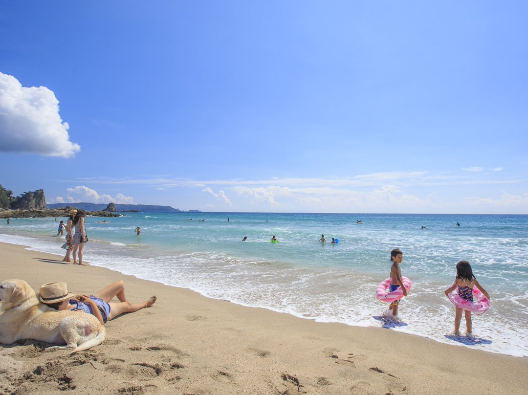 Kisami Ohama Beach景点图片