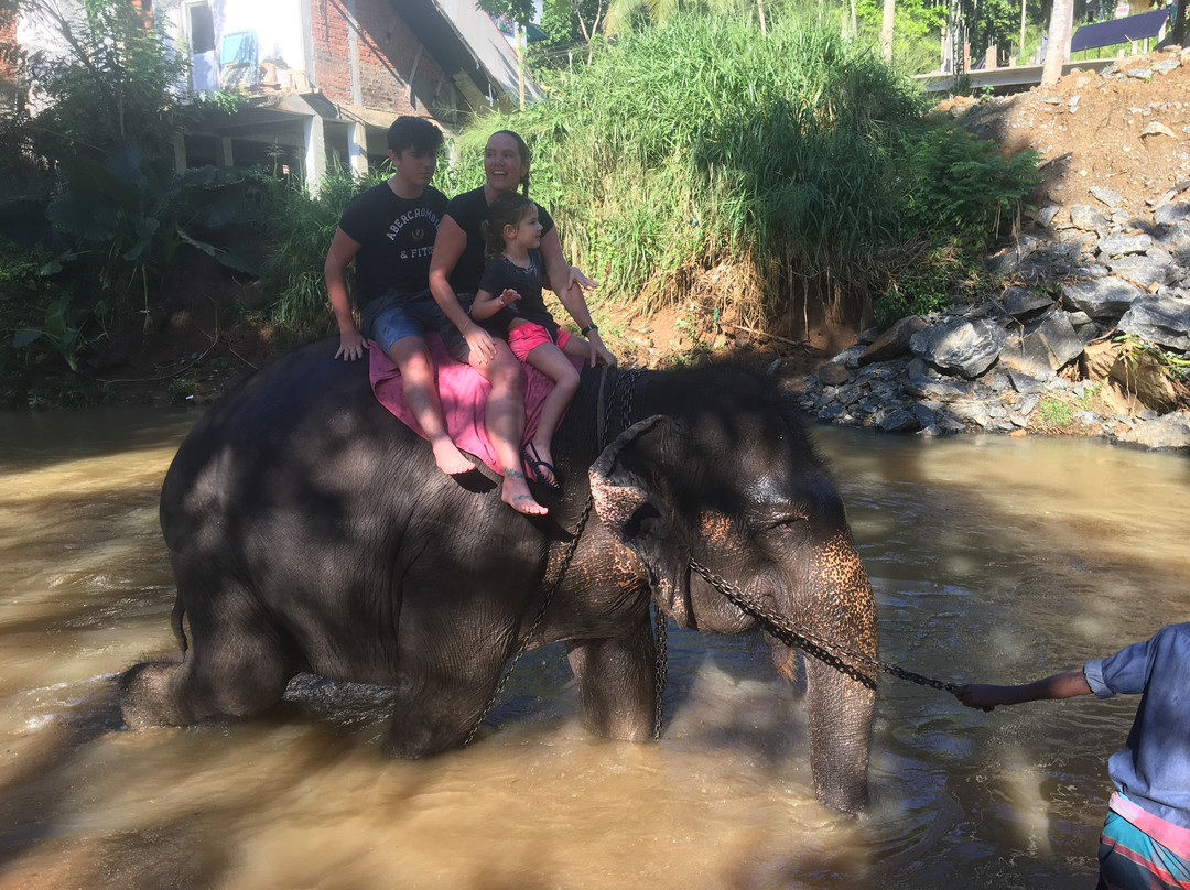 Ajith Private Tours-希克杜沃必去景点