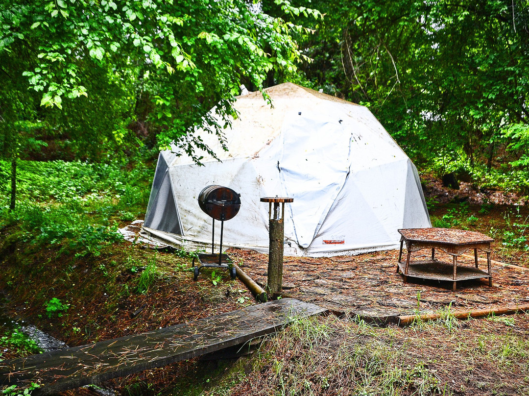 萨尔瓦多吕康旅馆主图