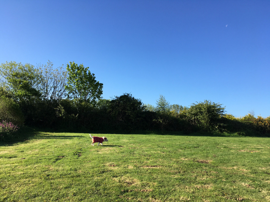 Penhalvean Pottery Campsite