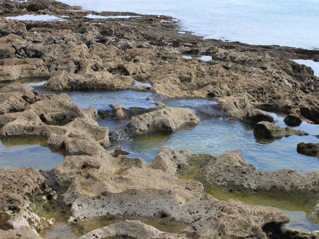 Yakomo Beach景点图片