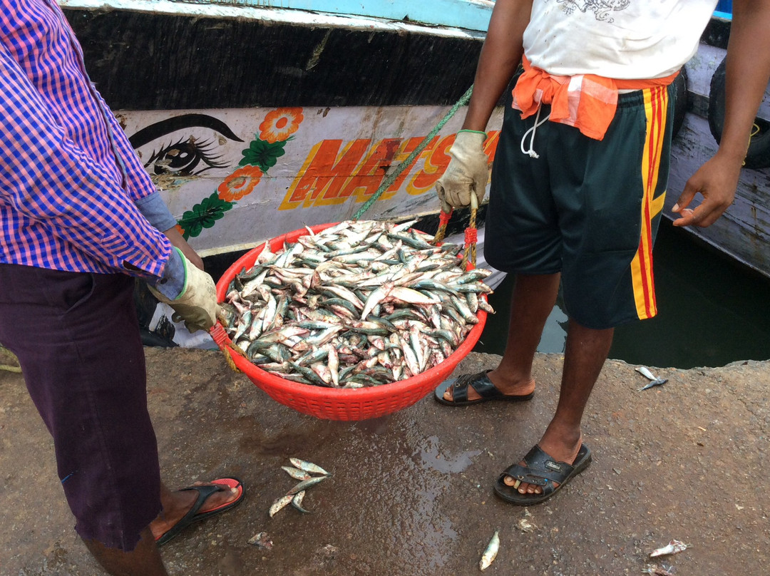 Bhatkal Beach-巴特卡尔必去景点