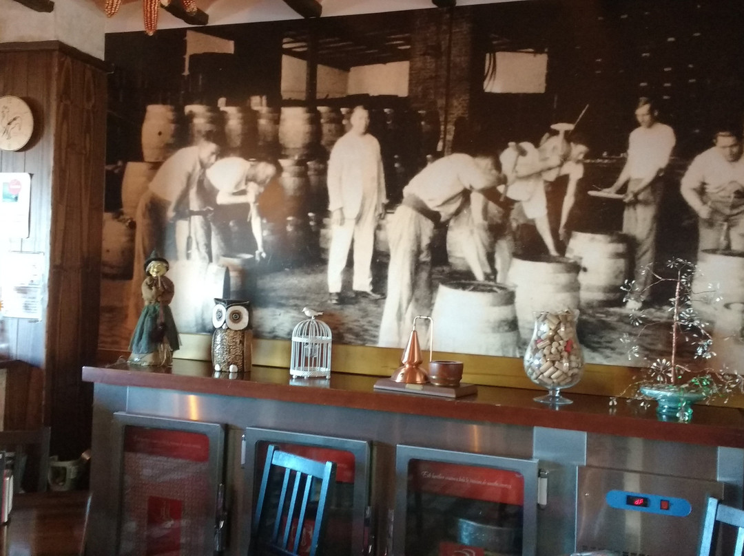 Cerveceria El Gallo景点图片