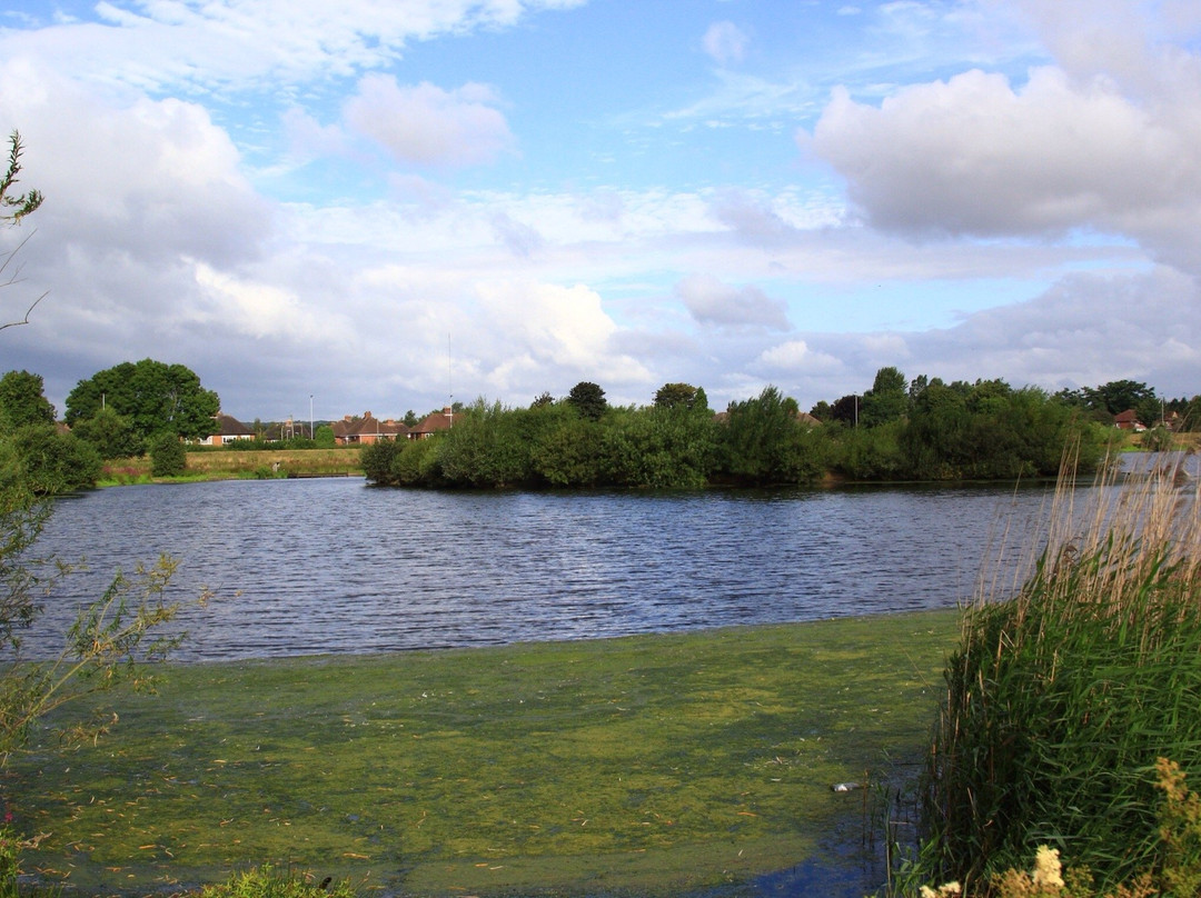 Tameside Nature Reserve景点图片