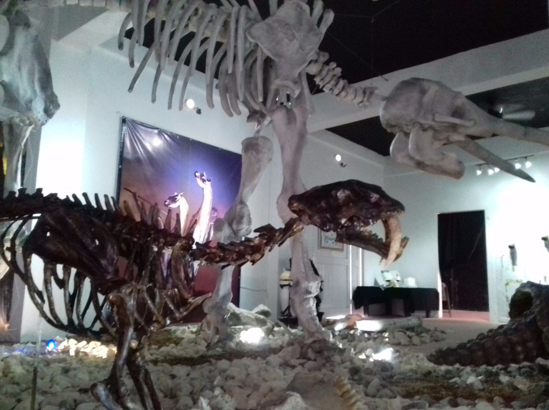 Museo de la Prehistoria Parque Dos Ojos-图伦必去景点