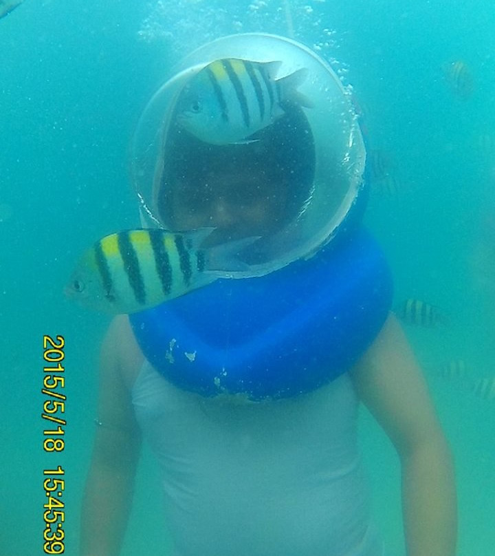 Sea Link Adventures-布莱尔港必去景点