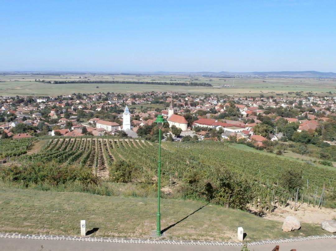 Borsod-Abauj-Zemplen County旅游攻略图片