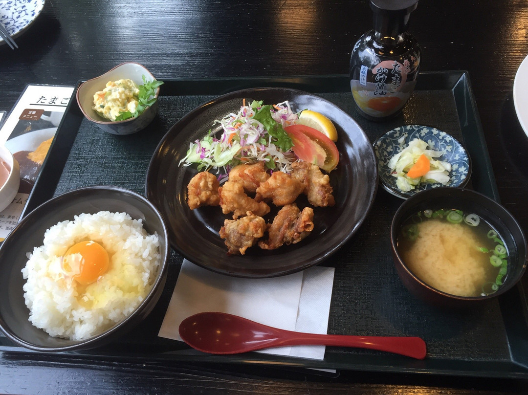 菊池市旅游攻略图片