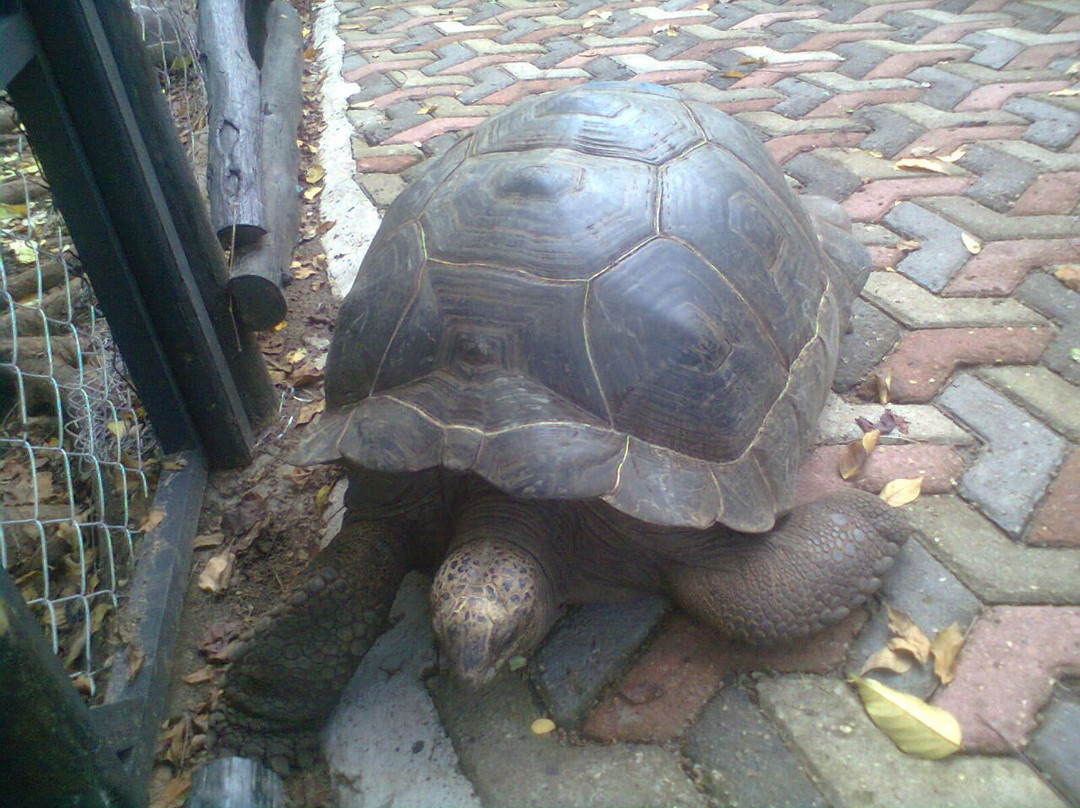 Asmaa Tours Zanzibar-桑给巴尔市必去景点