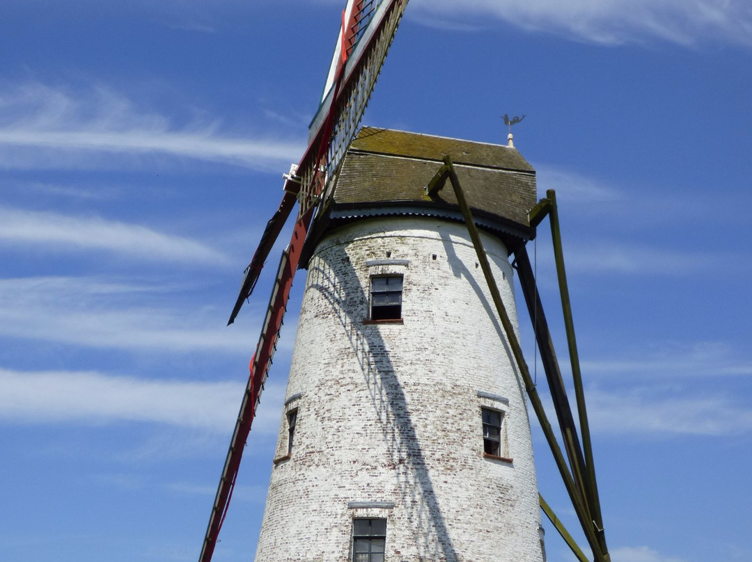 Bruges to Damme Bike Tour景点图片