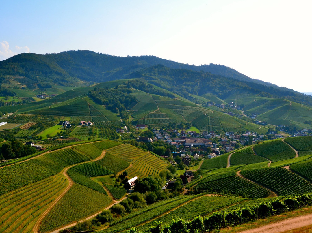 Weingut Schloss Staufenberg景点图片