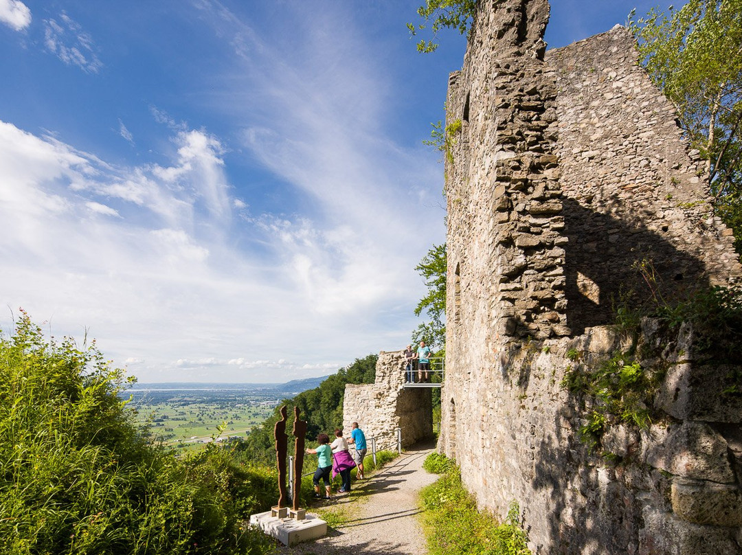 Burgruine Alt-Ems景点图片