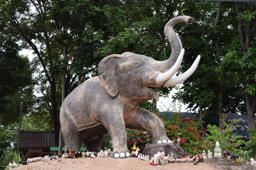 Wat Pa Kham Hua Chang Temple景点图片