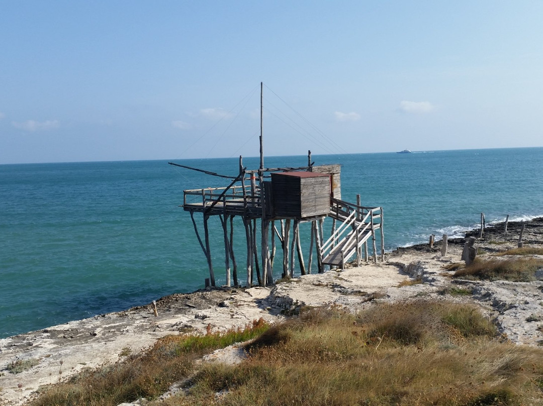 维耶斯泰旅游景点-Trabucco San Lorenzo