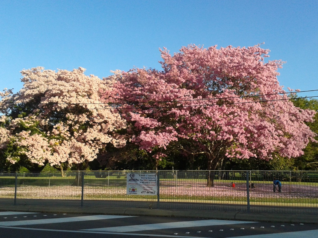 Botanic Gardens-汤斯维尔必去景点
