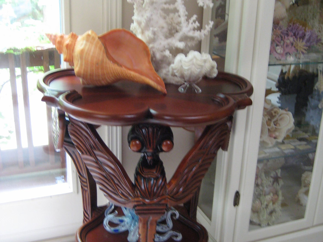 Sanibel Seashell Industries-萨尼贝尔岛必去景点