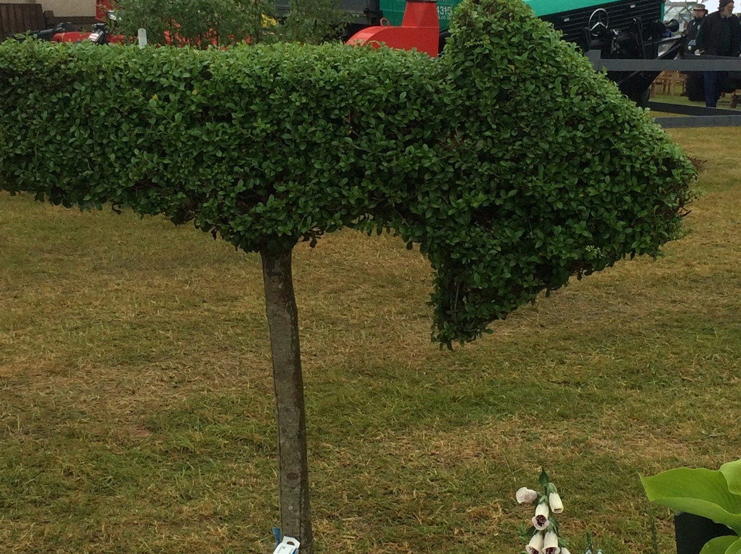 The Suffolk Show景点图片