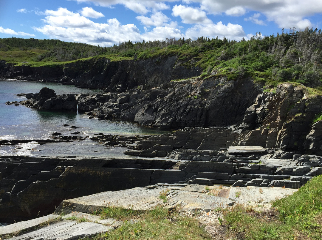 Murphy's Cove Trail景点图片