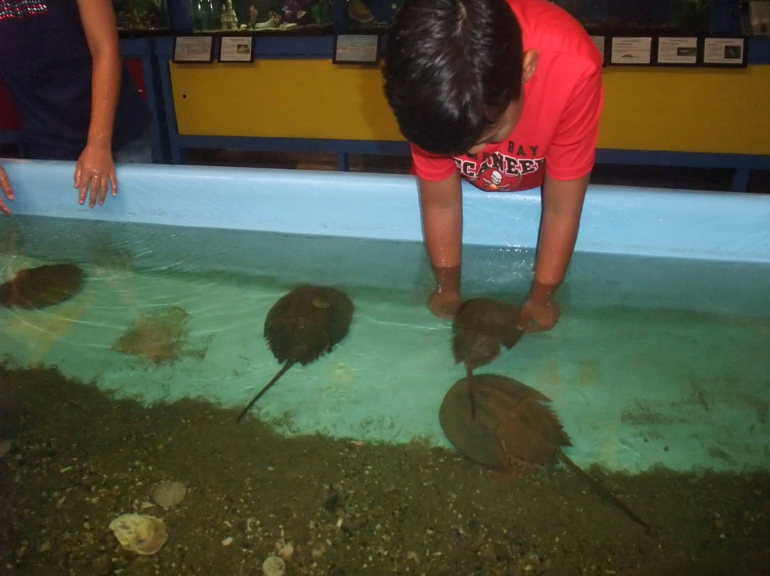 Biomes Marine Biology Center景点图片