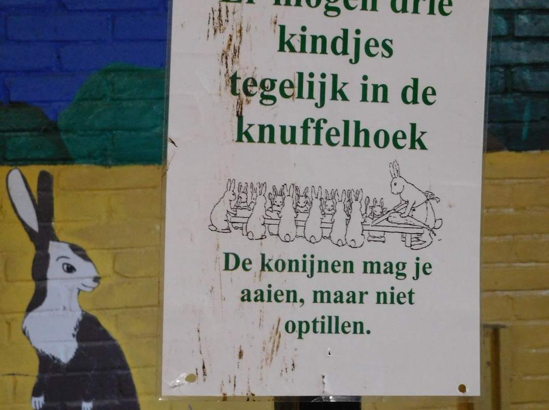 Kinderboerderij de Klepperhoeve-Middelburg必去景点
