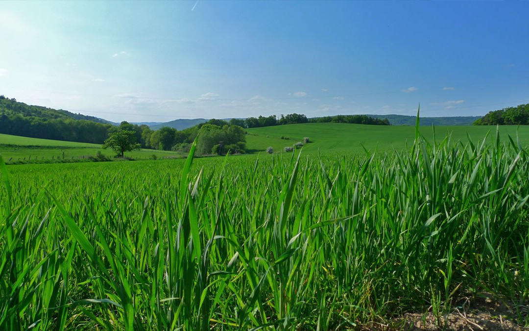 Naturpark Nassau-Nassau必去景点