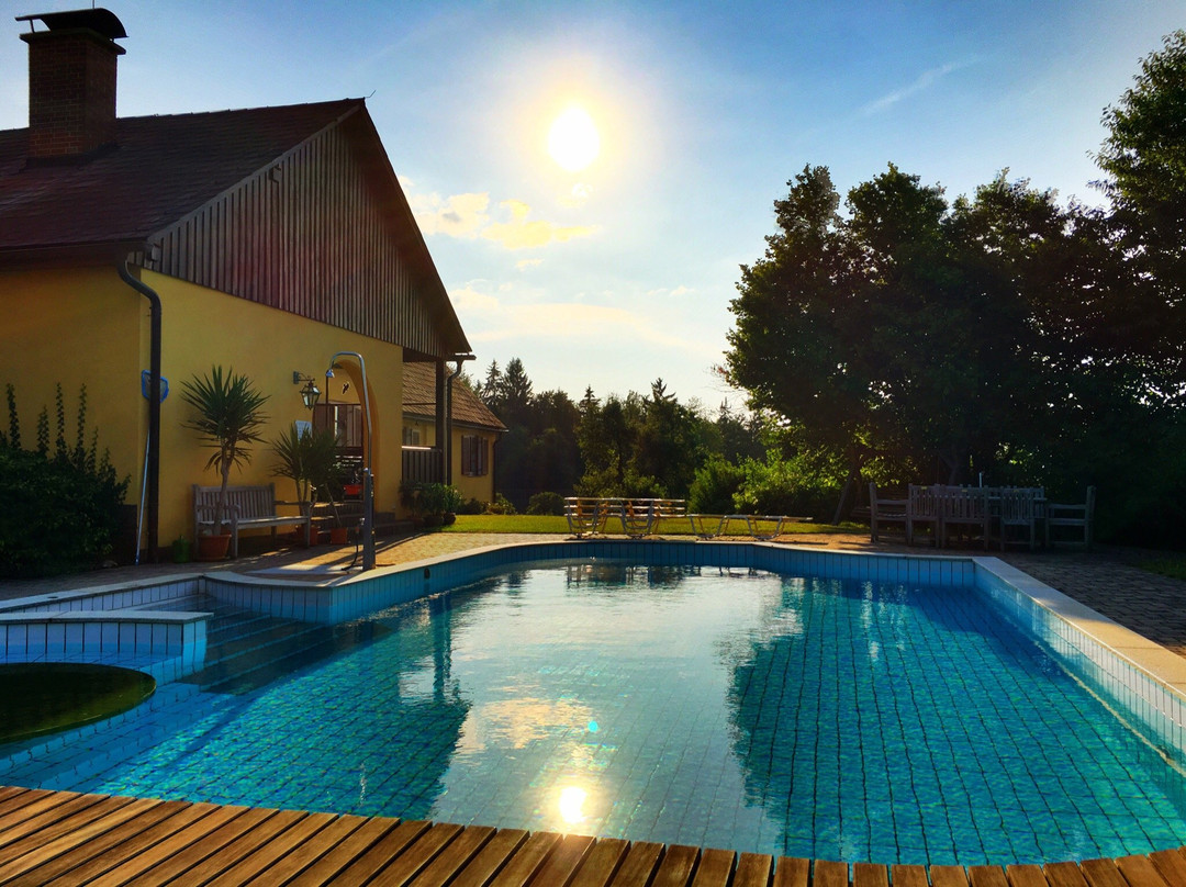 Zgornja Kungota酒店住宿-Weingut Rebenhof Moarhauser