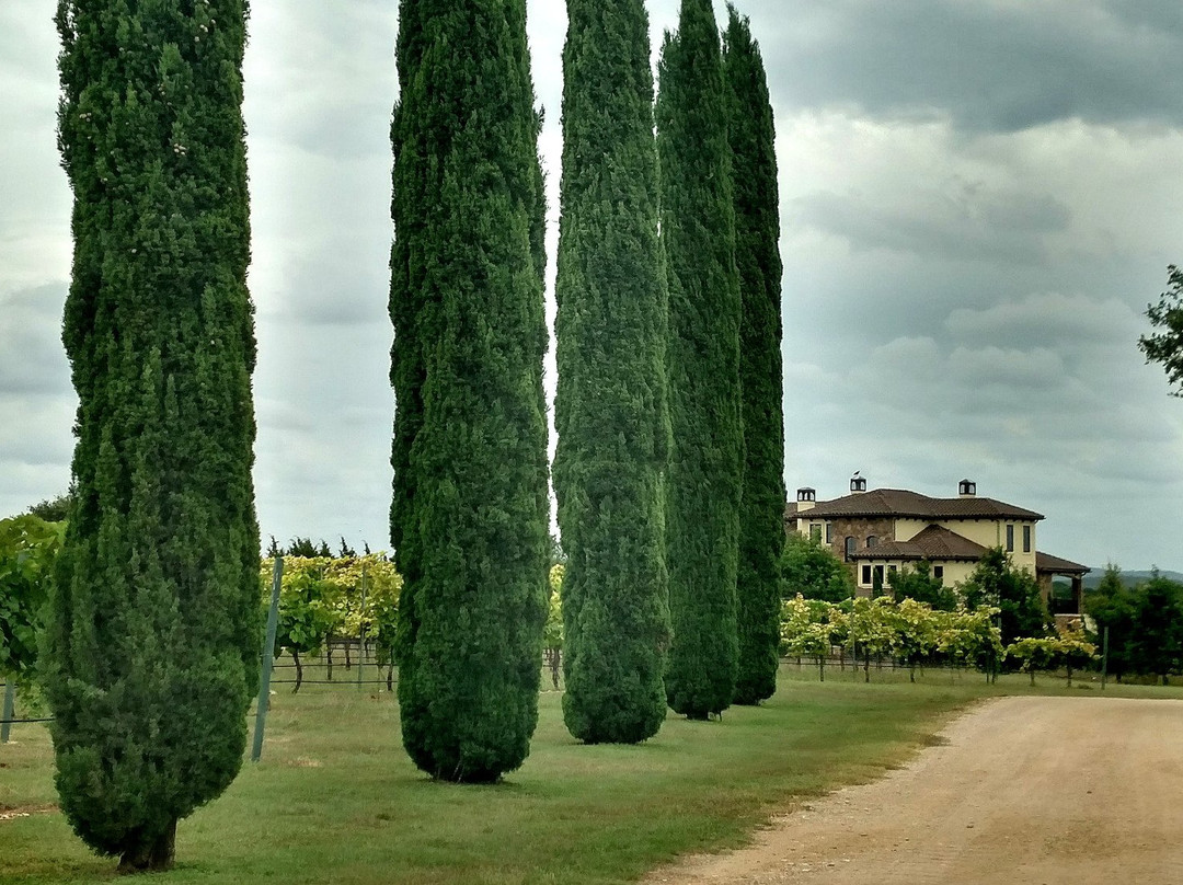 Stone House Vineyard-Spicewood必去景点