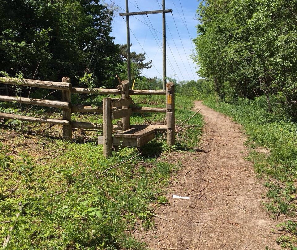 Medway Valley Heritage Forest-伦敦必去景点
