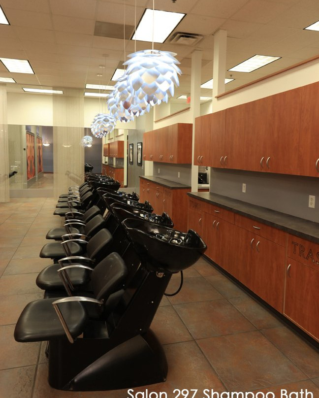 Salon 297-马斯基根必去景点