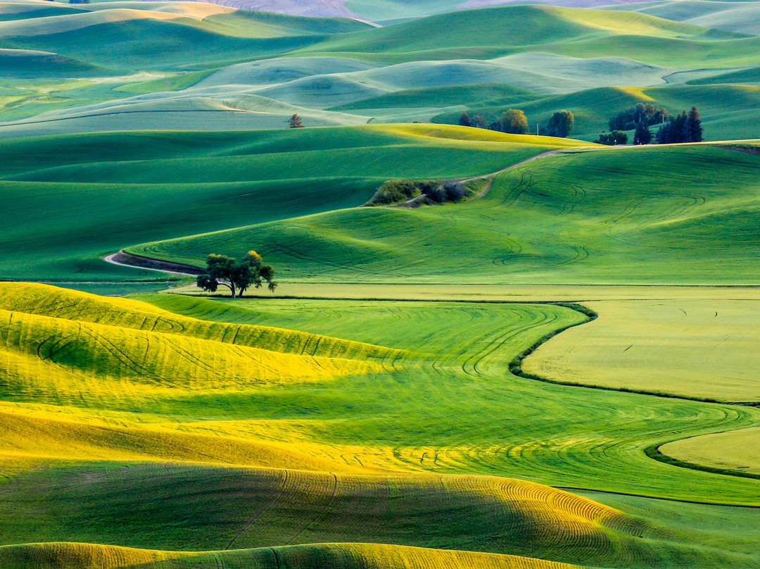 Colfax旅游攻略图片