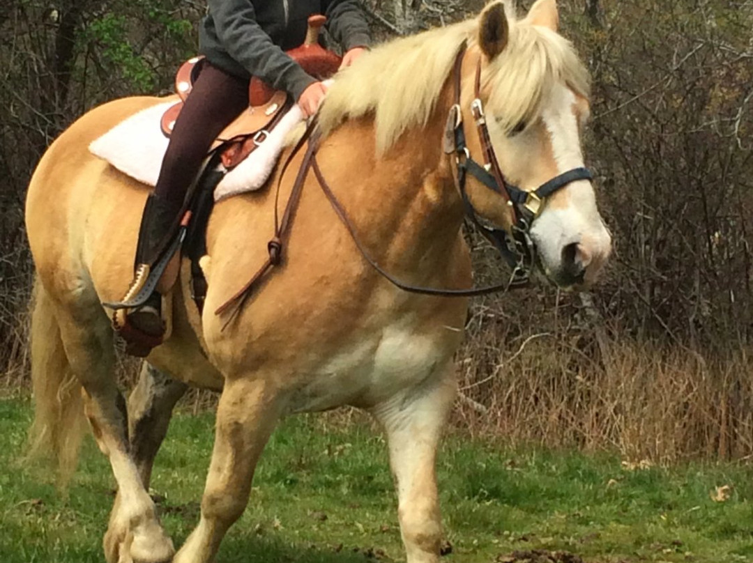 Rita's Stable-蒙托克必去景点