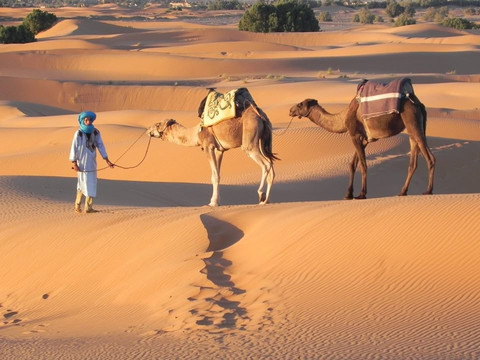 Marruecos Tours Desierto-马拉喀什必去景点