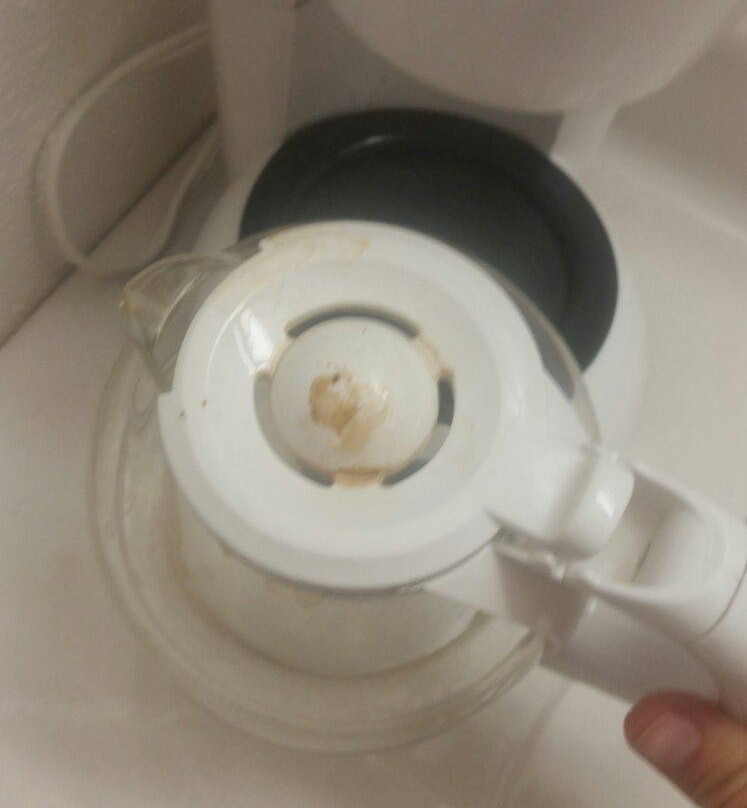 The Snuggle Inn主图