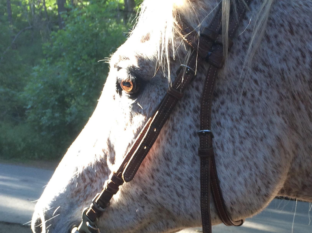 Double Mountain Ranch-胡德里弗必去景点
