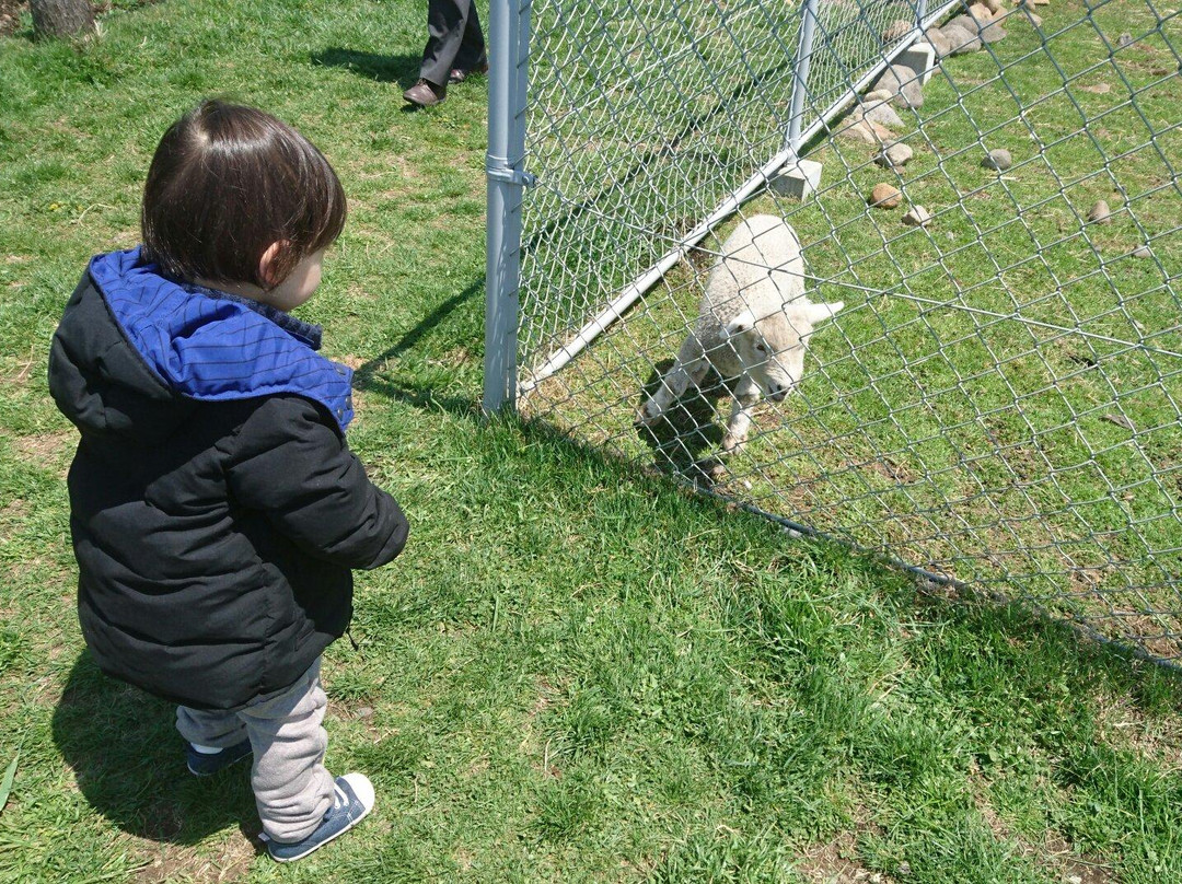 Yatsugatake Farm Stand-原村必去景点