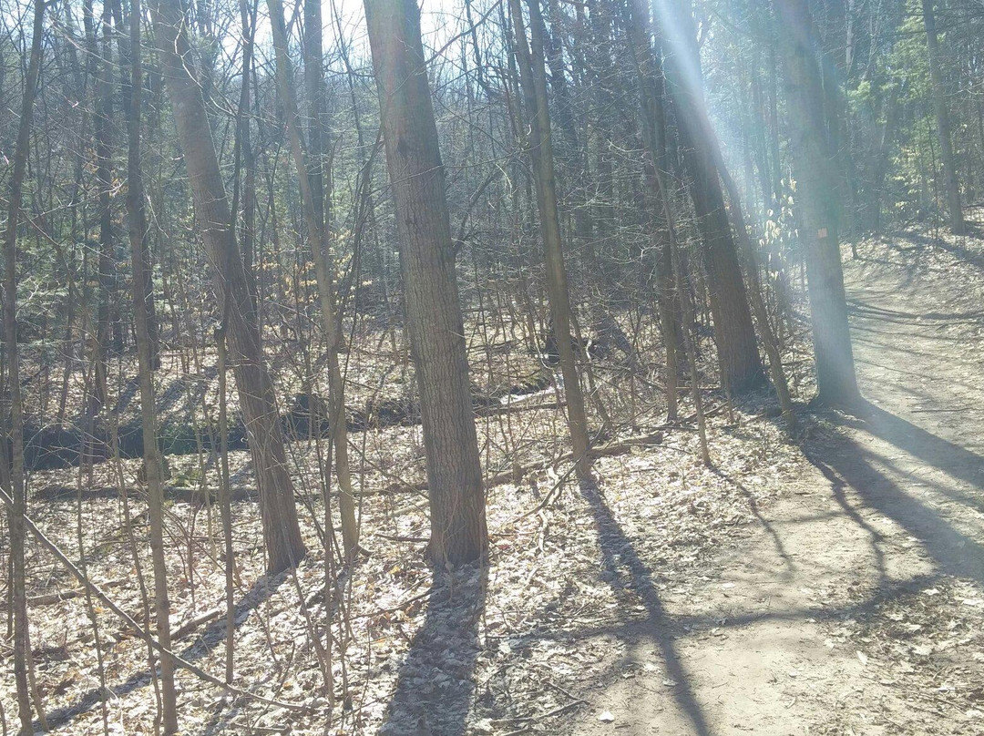 Ardagh Bluffs-巴利必去景点