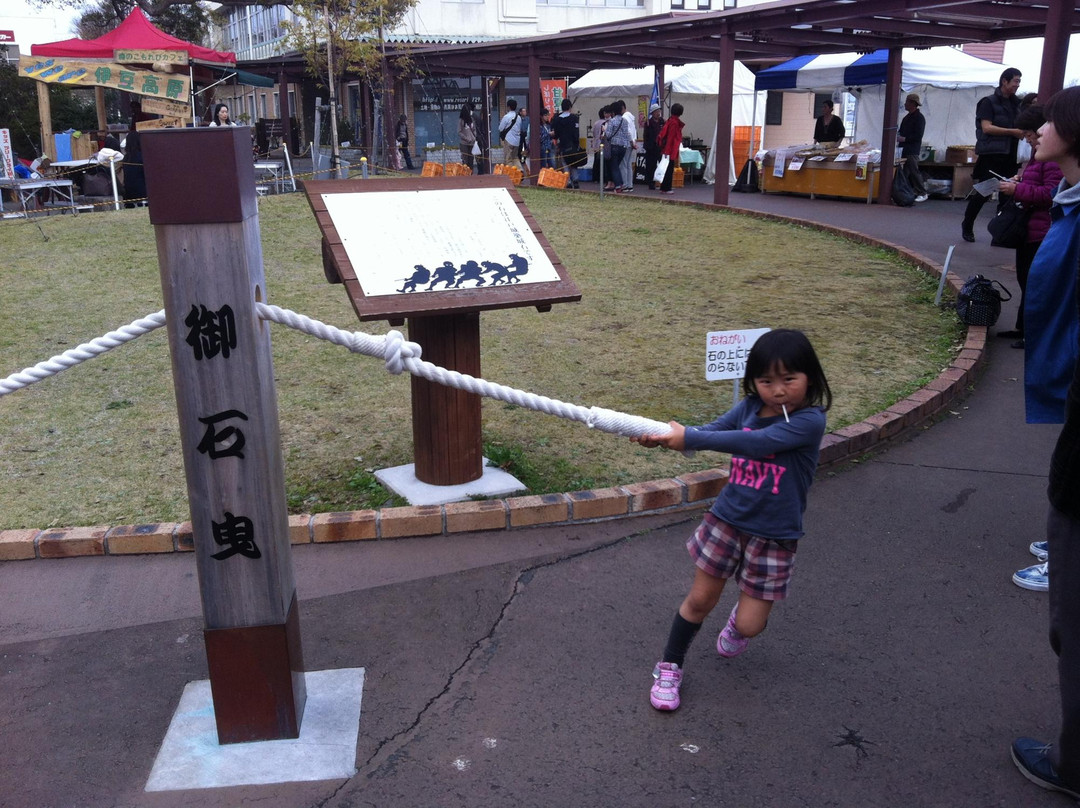 Izu Kogen Cherry Blossom Festival景点图片